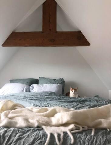 Beautiful Cosy Apartments In The Heart Of Anvers Extérieur photo